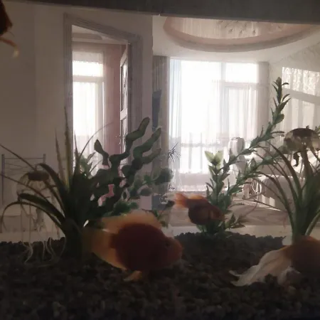 посуточно в аркадии * Odessa