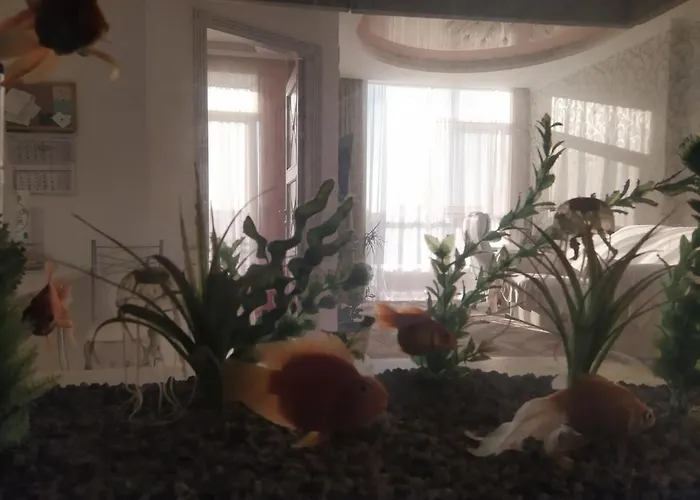 посуточно в аркадии * Odessa